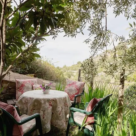 Ca'n Nicolau Holiday home Deia